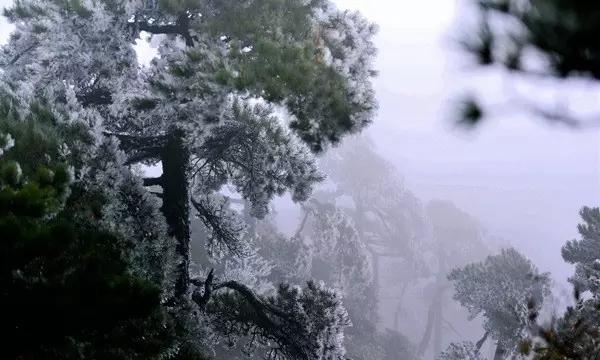好想去当地县城最好的高中读书，但是去那里一个人也不认识，一切是陌生的，我怎么度过这些年寒冷的冬天？游戏画面