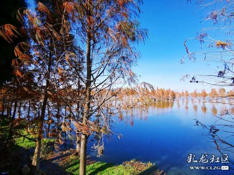 河南荥阳少林客车厂到黑龙江伊春开车怎么走游戏画面