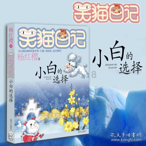 完美的收藏品