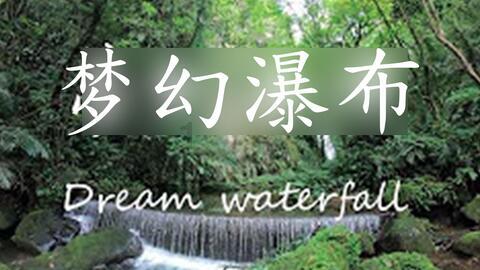 拉夫罗夫：强迫巴勒斯坦人离开加沙地带无论如何都不可接受