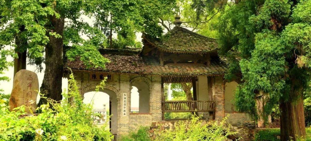 逃离狂热地带