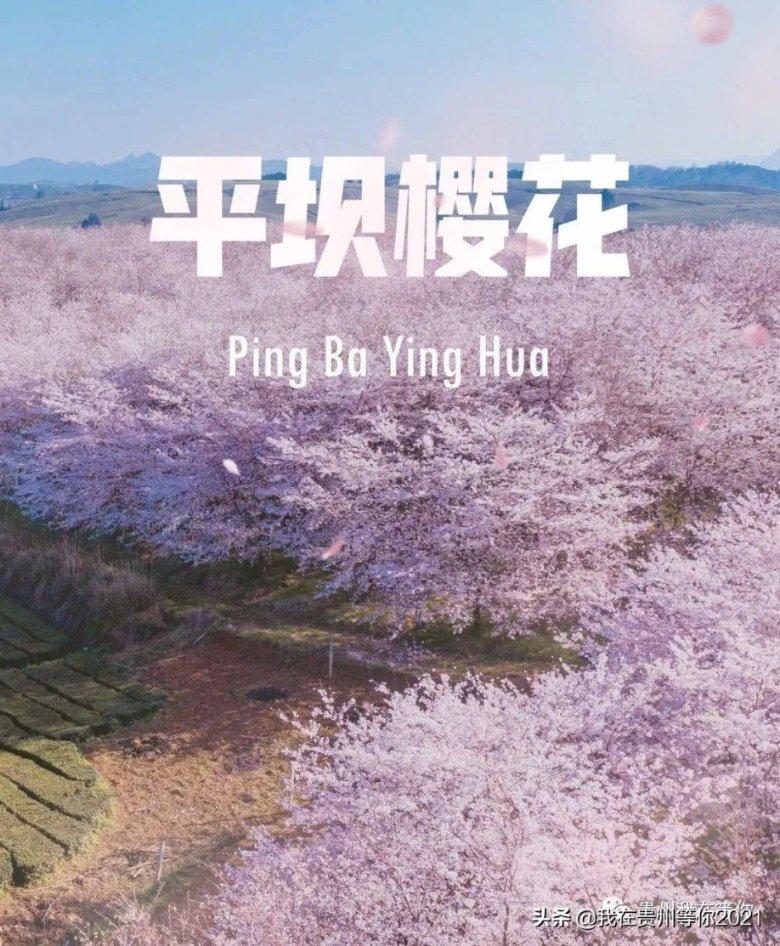 深度交流,尽在假领白衬衣搭配军绿色半身裙,时尚又独特,你觉得炫酷吗?问答交流平台