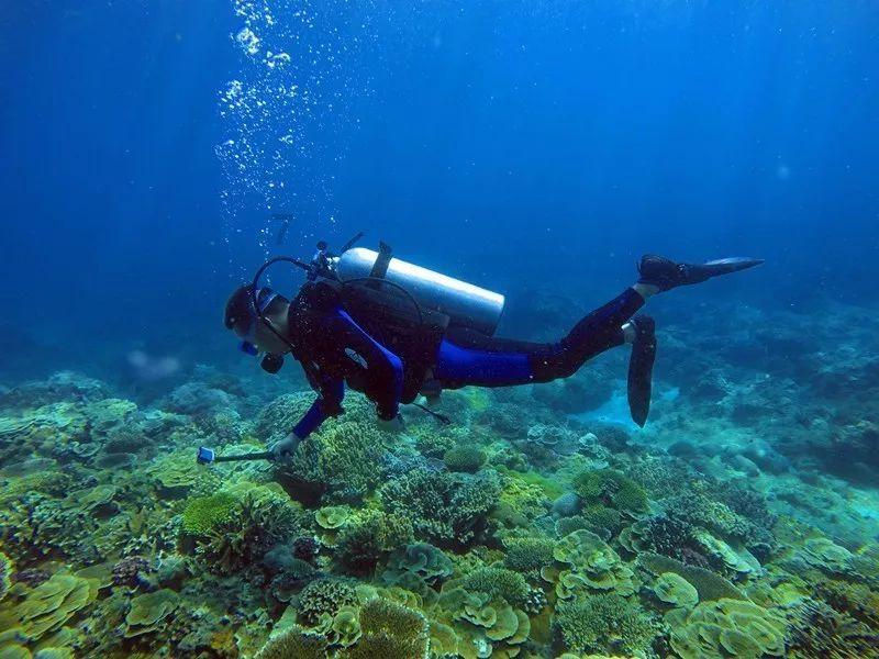 4项自我检查测试抗病能力