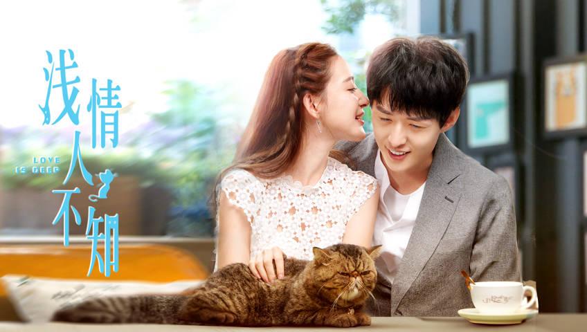探探猫历险记2