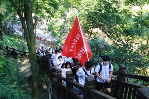 引球进框选关版