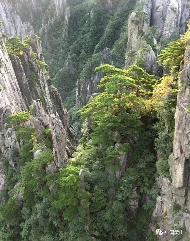 救援外星小怪