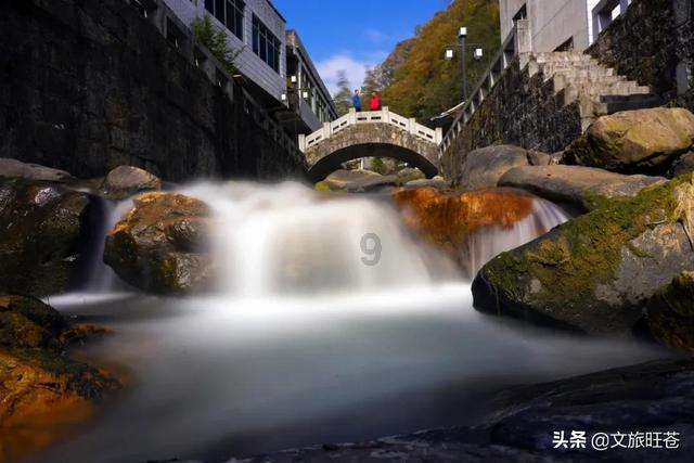 上海地区桃树什么时候套袋？游戏画面