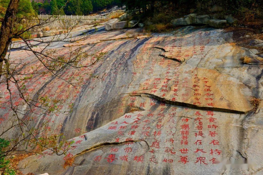 柯达盘中异动 快速跳水5.03%