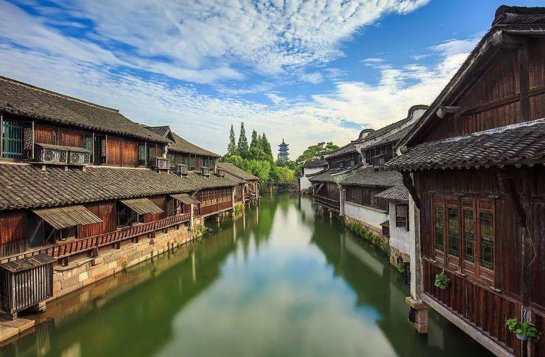 危险的社会