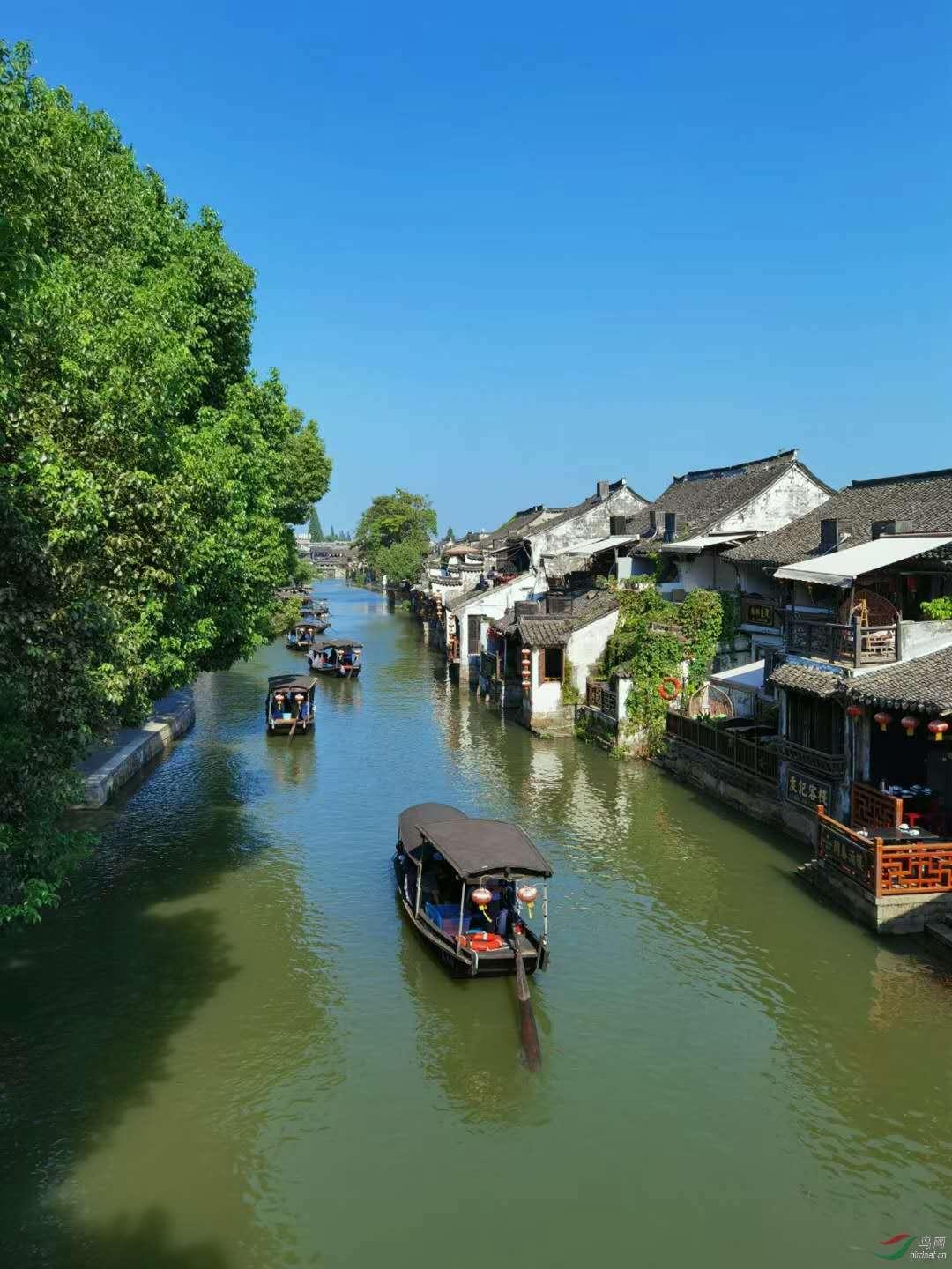 奥日与精灵意志