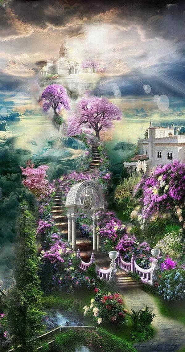 禅宗花园